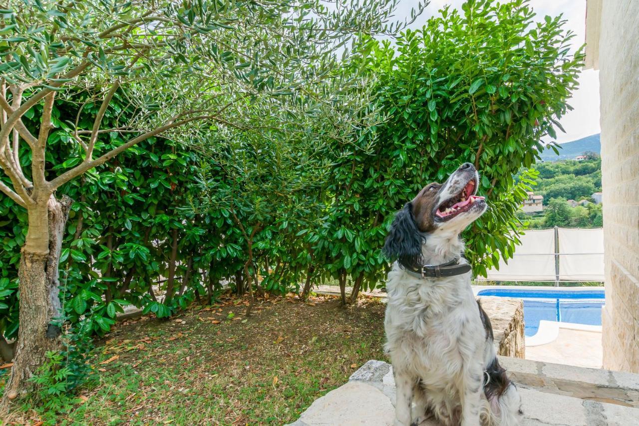 Villa Holiday Home Zvecanje エクステリア 写真